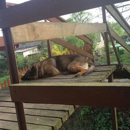 Alojamento de Turismo Rural 'pod Debem' Giżycko